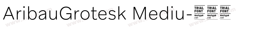 AribauGrotesk Mediu字体转换